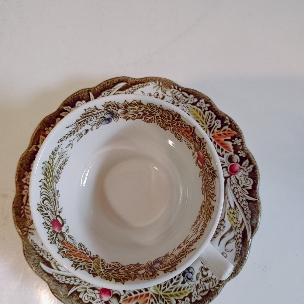Ridgway England HERITAGE Scenes of Canada tea set - Picture 8 of 10
